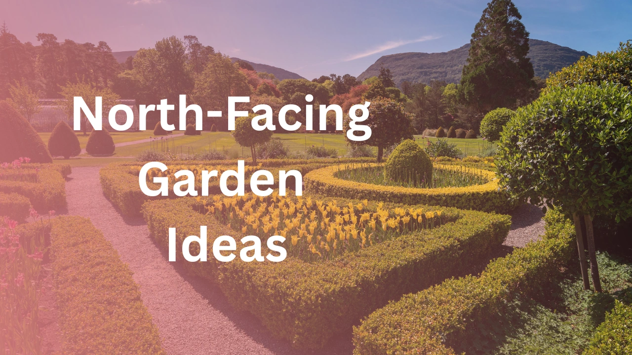 Garden Ideas