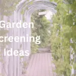 garden screening ideas