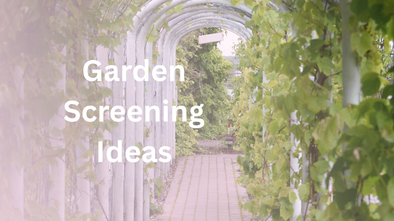 garden screening ideas