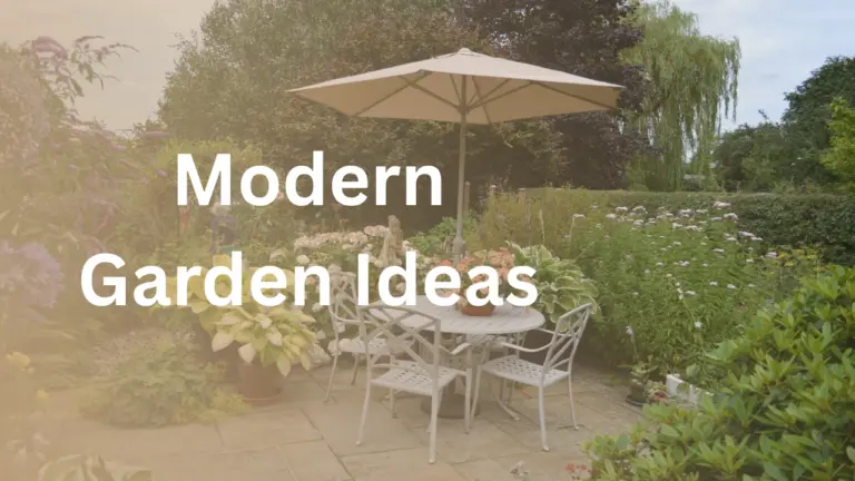 modern garden ideas