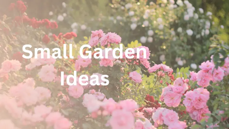 small garden ideas